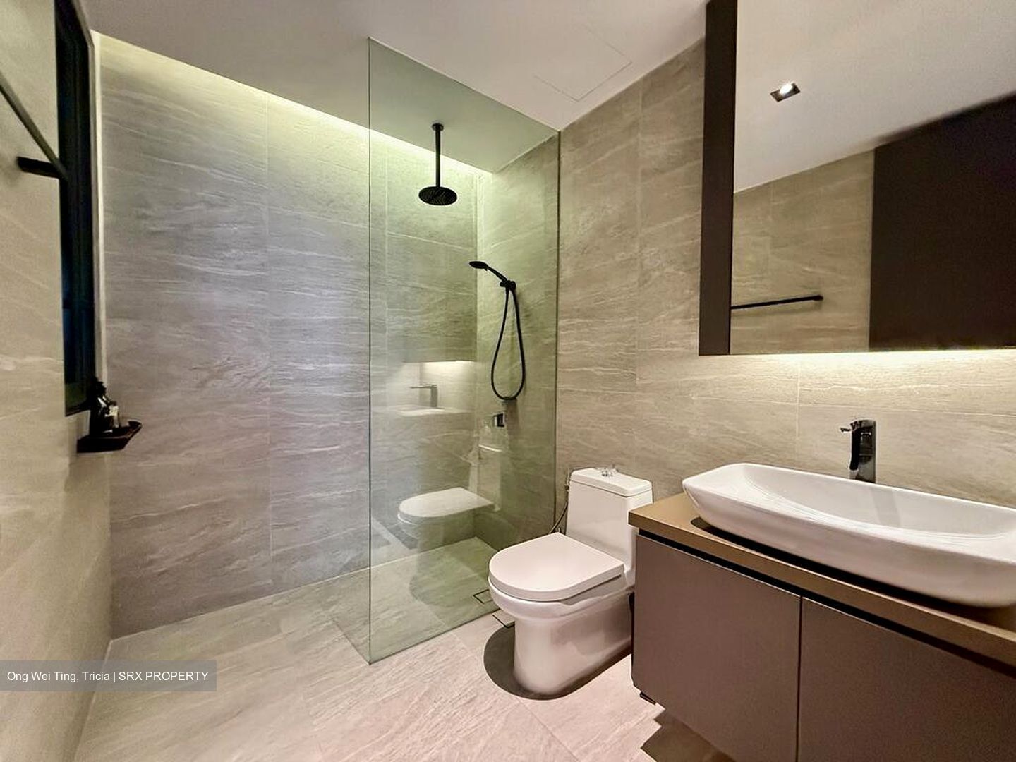 The Arte (D12), Condominium #506108801